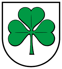 It was originally designed by zang auerbach, the brother of celtics head coach red auerbach. Original Celtics Wikipedia