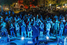 Blues & Roots Festival