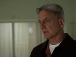 NCIS" Double Identity (TV Episode 2010)