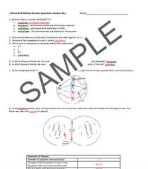 We did not find results for: Animal Cell Mitosis Review Questions With Answer Key By The Anatomy Ace
