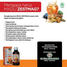 Pin Di Madu Untuk Asam Lambung