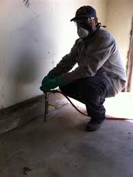 Po box 874 roseville , ca , 95678. Bed Bug Exterminator Roseville Ca Parish Termite Pest Management
