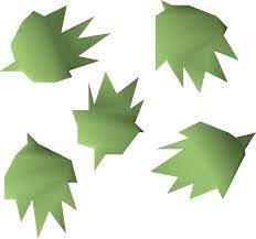 One rather obvious function of cactus spines is to protect the plant from predators. Cactus Seed Osrs Wiki