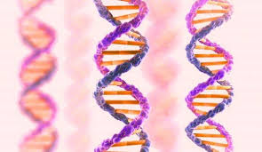 بعد 100 عام من الآن هكذا سيكون العالم تكنولوجيا