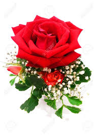 Select an excellent bouquet for your wedding today. Small Red Roses Bouquet With Little White Flowers Isolated White Stock Photo Picture And Royalty Free Image Image 46699455