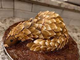 The scales are made from keratin, the same thing as human hair and fingernails. Pangolin Birthday Cake Scales Made Of Fondant And Airbrushed Animal Birthday Cakes Sea Cakes Animal Party Food