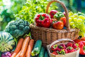 Image result for Fiber