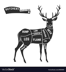Deer Meat Cuts Black Vector Image