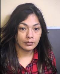 Deputies Arrest Mother with Meth, Son with Gun Just before 5:00 am