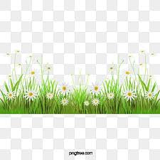  Grass Clipart Underbrush Flowers White Flowers White Flowers Clipart White Flower Carto In 2021 Pink Flowers Background Spring Background Images Green Grass Background