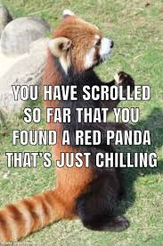 He S Just Chilling Meme