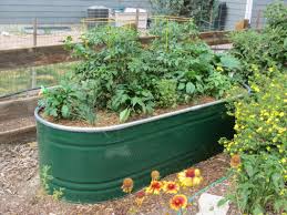 Making A Self Watering Horse Trough Planter Everything Should Be Self Watering With The Best Soil Possi Garden Troughs Trough Planters Raised Garden Beds Diy