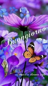 Pin Di Benedetta Tua Su Buongiorno Fiori Viola Fiori Fotografia Di Fiori