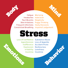 How Stress Can Cause Overall Health Issues Clara Whyman