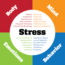 how stress can cause overall health issues clara whyman