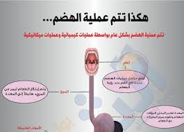 إنفوجراف هكذا تتم عملية الهضم