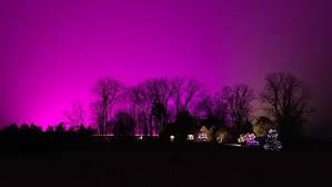Night sky is an early flower petunia variety that doesn't require long days to flower. It S Not The Northern Lights It S A Borealis Of Greenhouse Glows Cbc News