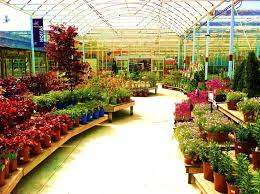 Image Result For Armstrong Garden Center Santa Monica Armstrong Garden Centers Is A Full Service Nursery Wi Garden Center Displays Garden Center Garden Nursery
