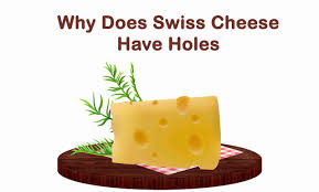 Do you know the secrets of sewing? Why Does Swiss Cheese Have Holes Swiss Cheese Facts Topessaywriter