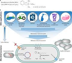 Benzalkonium Chlorides Uses Regulatory Status And Microbial Resistance Applied And Environmental Microbiology