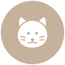 The animal inn & pet resort at stoney pointe animal health centre provides grooming and pampering for your pets in addition to comfortable boarding services. Vet Animal Hospital In Patchogue Ny Paumanok Veterinary Hospital P C