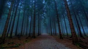 Dark Forest Wallpaper 74 Pictures Tons of awesome dark forest wallpapers to download for free. dark forest wallpaper 74 pictures