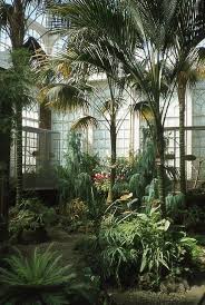 Butterfly House In Williamson Park Lancaster Uk Winter Garden Indoor Gardens Plants