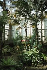 On all orders over £175. Butterfly House In Williamson Park Lancaster Uk Winter Garden Indoor Gardens Plants