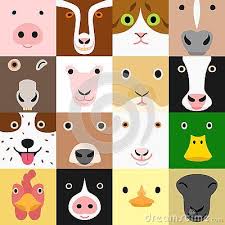 Set Of Funny Farm Animals Face In Square Colorful And Humorous Cow Illustration Animal Faces Sheep Face