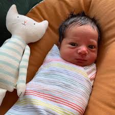 Terry Guy (@terrymonorex) · Los Angeles, CA · Instagram photos and videos