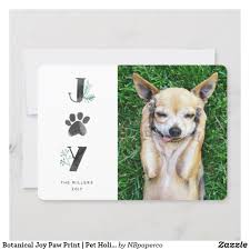 Botanical Joy Paw Print Pet Holiday Photo Card Zazzle Com Holiday Pet Photos Pet Holiday Holiday Photo Cards