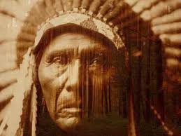 Browse thousands of P Amp G Gn2 Cc Vio images for design inspiration