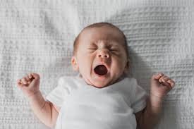 Newborn Posing — Natalie Maria Photography