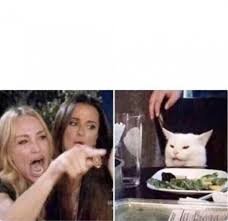 Woman Yelling At A Cat Meme Template Meme Template Cat Memes White Cat Meme