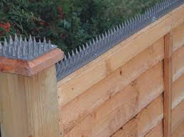 Cat Proof Garden Ideas Cat Fence Plastic Spikes Security Fence Home Security Tips Diy Home Security