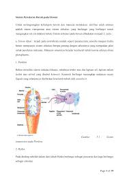 Serangan jantung bisa menyerang setiap orang tanpa pandang bulu. Makalah Biology Sistem Sirkulasi Sherosy