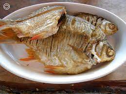 เมน อะไรเหมาะสมก บปลาแต ละชน ด ก บ 3 ส งท คนชอบก นปลาต องเตร ยมให พร อม อาหาร น ำปลา หอย