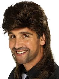 The Modern Mullet Hairstyles For Men Mullet Wig Mens Hairstyles Mullet Hairstyle