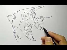 Kumpulan gambar tentang lukisan hewan hitam putih, klik untuk melihat koleksi gambar lain di kibrispdr.org. Cara Menggambar Ikan Hias Dengan Mudah Untuk Anak Sd Youtube