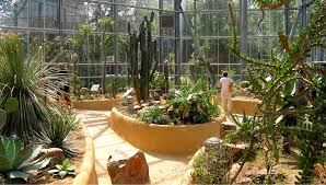 Hortus Botanicus Amsterdam Botanical Garden I Amsterdam