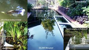 Pin On Backyard Projects