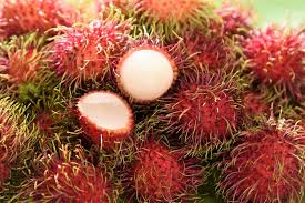 Following is the list of the list of the national fruits of some of the countries but keep in mind that there might be possible the difference and this list may also be updated and we will try to add some more japanese persimmon. 6 Rare Fruits That Everyone Must Try Patel Brothers