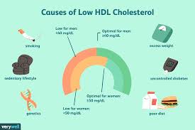 Good Cholesterol Levels Online Charts Collection