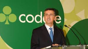 ¿sabías que codere ya está en méxico? Noticias De Codere Los Fondos De Codere Echan A Los Martinez Sampedro En Un Consejo De Alta Tension