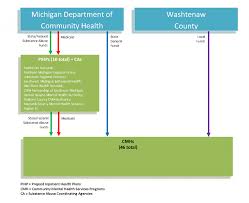 community mental health services coverage and delivery in