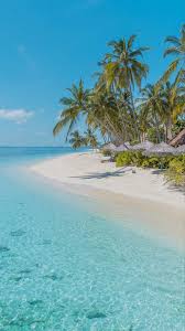 Download beaches & islands beautiful wallpapers,desktop backgrounds & stock photos in high quality hd resolutions. Beach Iphone Free Wallpaper For Iphone 11