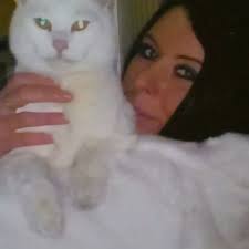 My dead cat was scraped off the road and chucked into an incinerator by the  council'