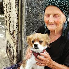 Donate to Animal Spay and Neuter International