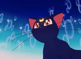 It Had Magical Cats Sailor Moon Cat Sailor Moon Gif Sailor Moon Luna 21 unrealistic expectations we have about cats because of 'sailor moon'. it had magical cats sailor moon cat