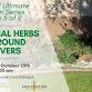 Perennial Herbs & Ground Covers: Grow Flavor and Function This Fall